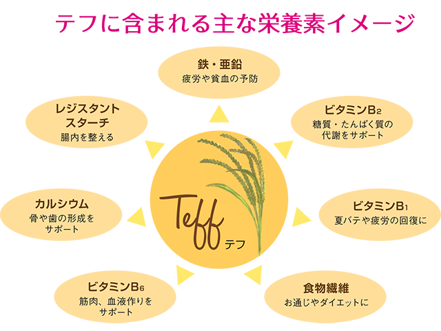 テフが含む栄養素イメージ